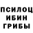 Галлюциногенные грибы Psilocybine cubensis Chilawan Stewart