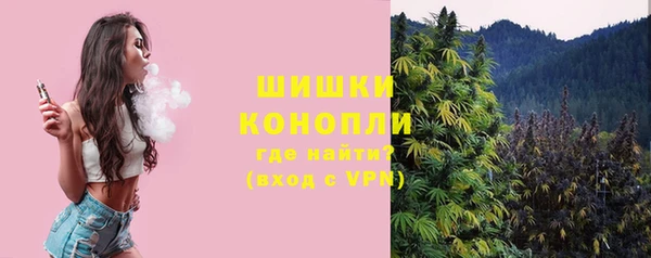 PSILOCYBIN Алексин