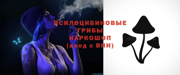 бошки Алексеевка