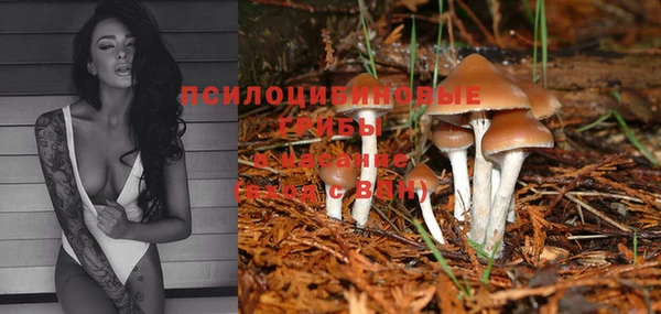 PSILOCYBIN Алексин