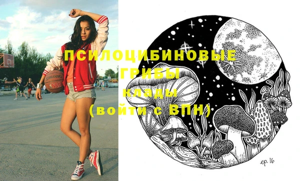 spice Алзамай