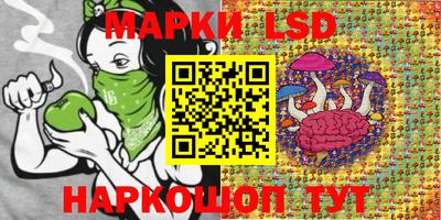 винт Сланцы
