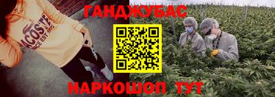 винт Сланцы