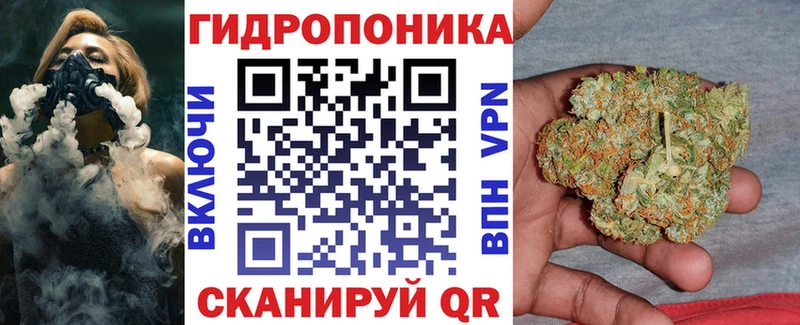 Бошки Шишки THC 21%  дарнет шоп  Обнинск 